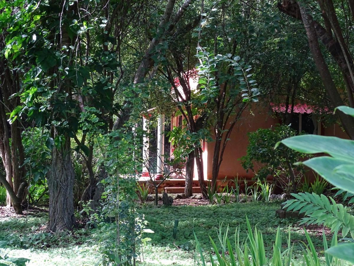 The Flycatcher Inn Retreat Hotel Santa Elena Exterior photo