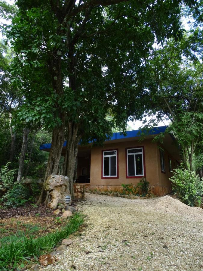 The Flycatcher Inn Retreat Hotel Santa Elena Exterior photo