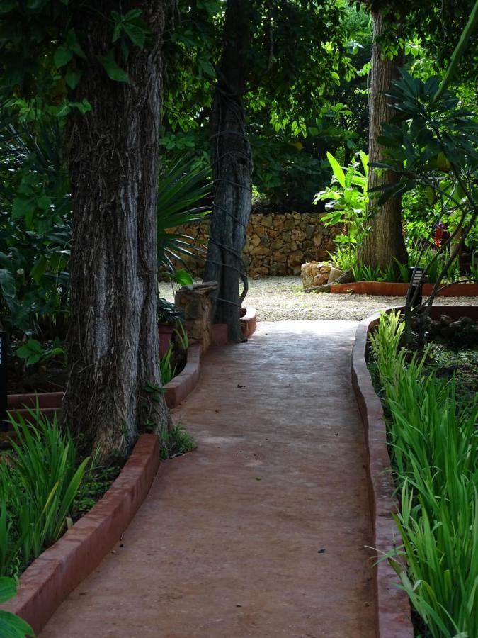 The Flycatcher Inn Retreat Hotel Santa Elena Exterior photo